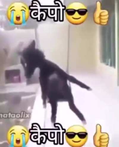 😭😎👍 😭😎👍