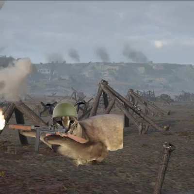 Flops land on Normandy (1945)