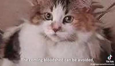 MEMES