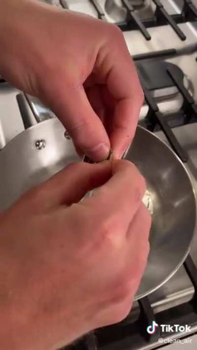 Eating a wild bird’s egg