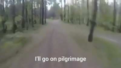 Blursed bear