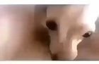 We she says men are all dogs