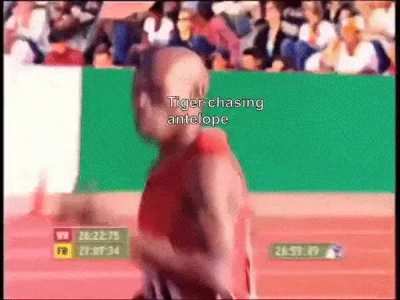 National Geographic Cameraman is faaaast