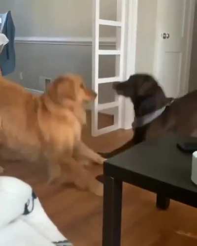 Synchronized play time