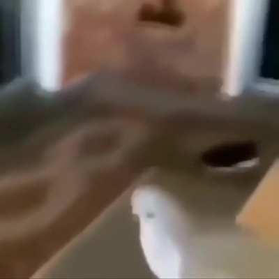 nom