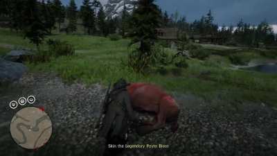 Gave a bison a good time 