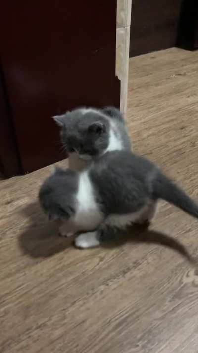 Just Playing