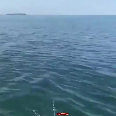 control ward fishing