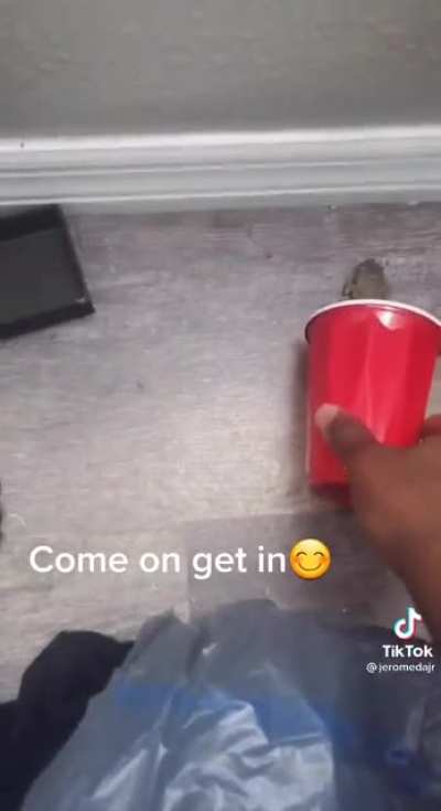 Tf was that