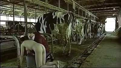 Dairy Farmer