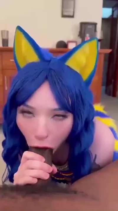 Blue Snowbunny Cats