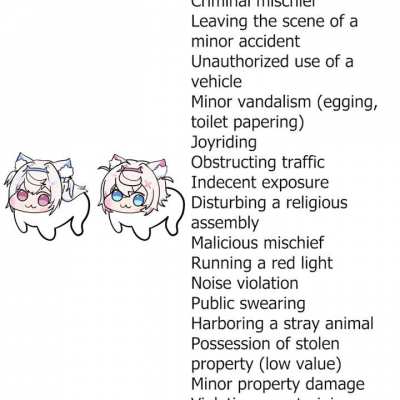 petty crimes committed