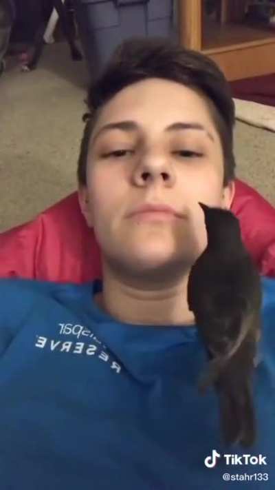 Dental work from a dentist crow