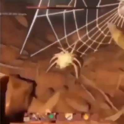 spooder