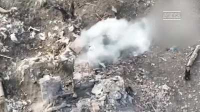 Ukrainian UAVs have become a real nightmare for Russian invaders