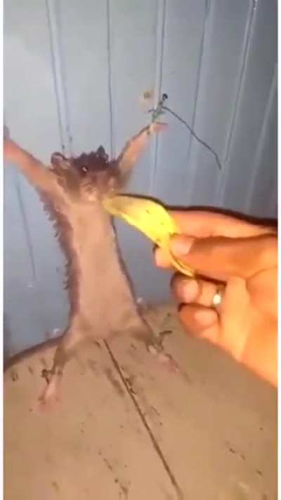 He didn't diserve that..