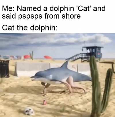 Cat 1 Experiment 0