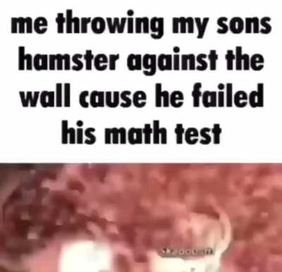 When the hampter