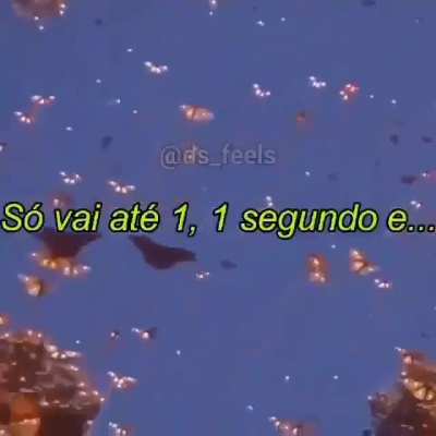 Ta bugado