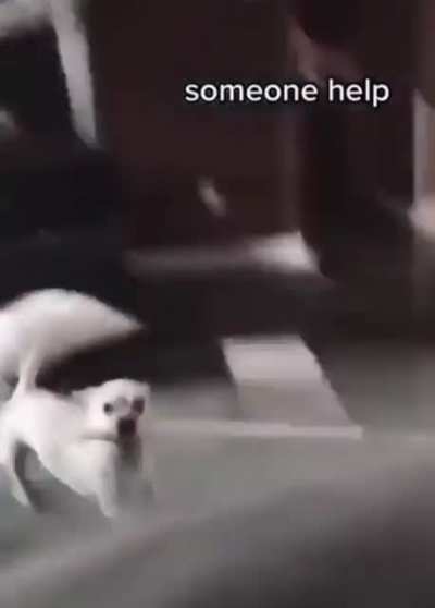 He’s not holding back