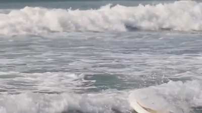 Surfing is nice