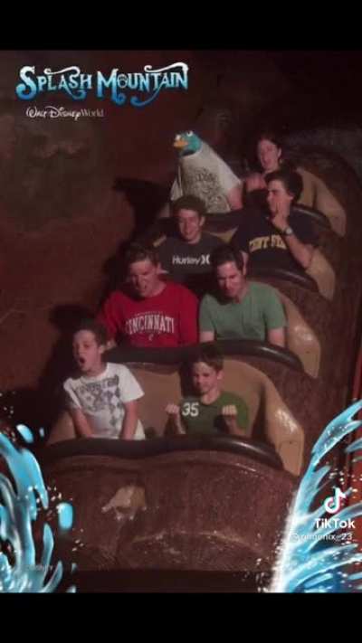 Splash Mountain pictures