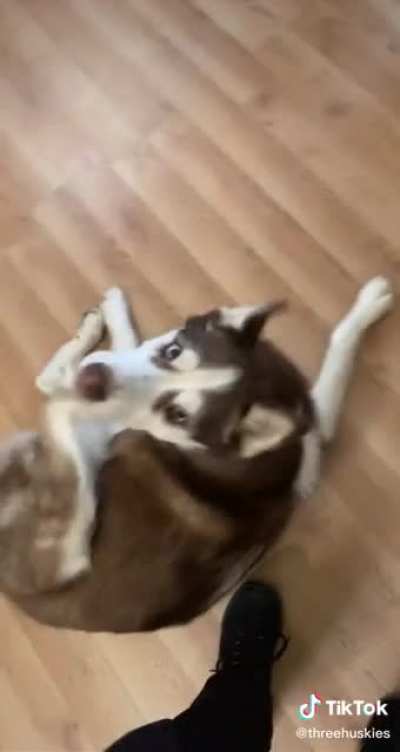 3 amigos