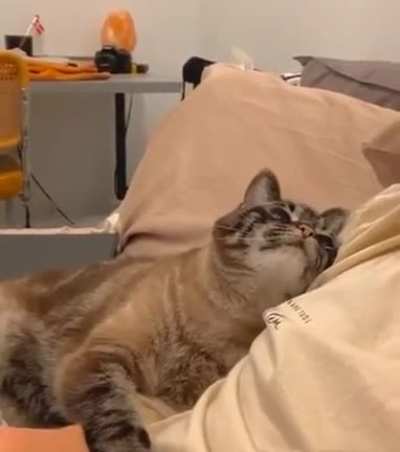 That look 🥺