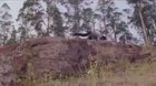 This is not a fight sequence, it's art