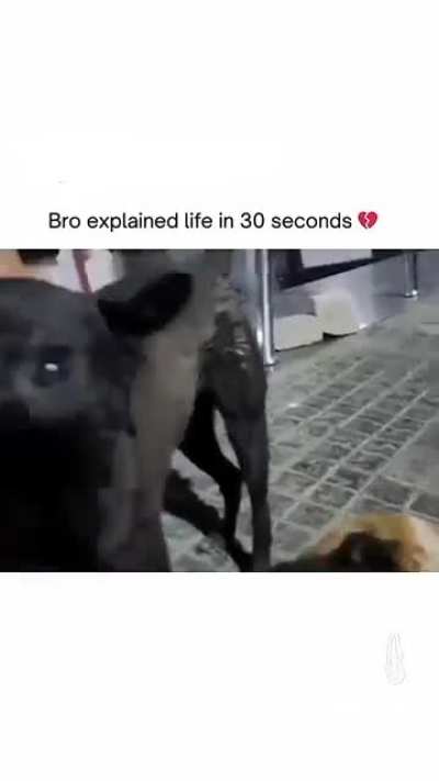 Bro explain it 💔
