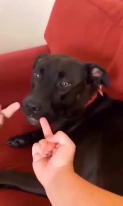 Maybe Maybe Maybe