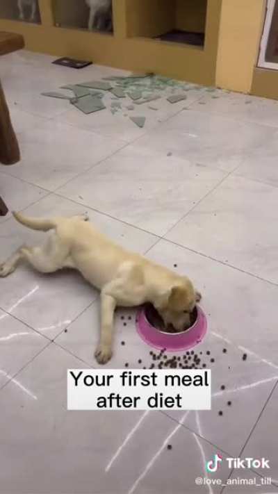 Apparently, he eats every meal like this and they don't know why
