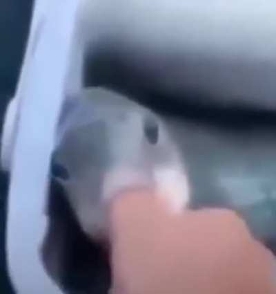 não foi uma boa ideia cara