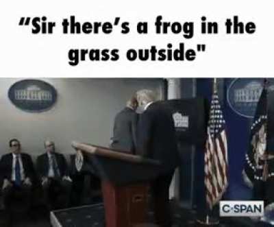 🐸