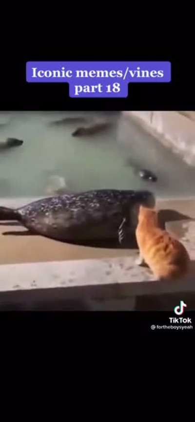 Don’t talk back to me