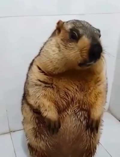 Cuteness Overload!