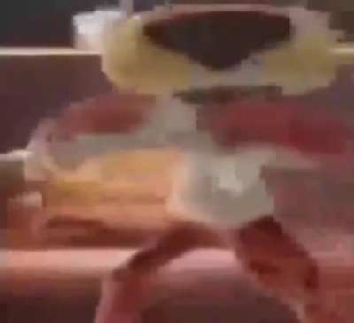 BeelcitosMemes - Video #9853