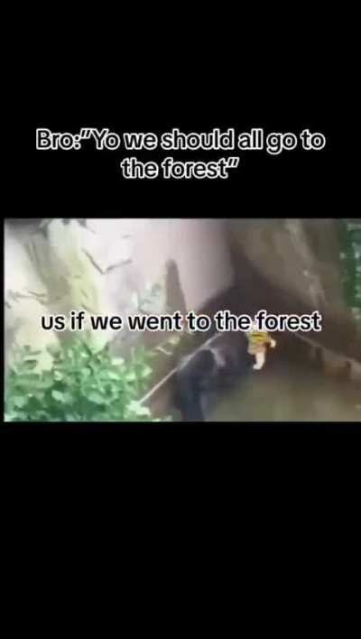 Loser camping