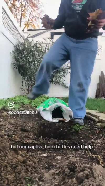 First we froze their ass, now we burry their wunk ass