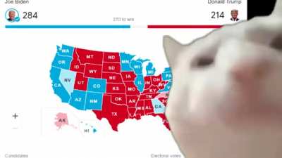 OneTermPresident