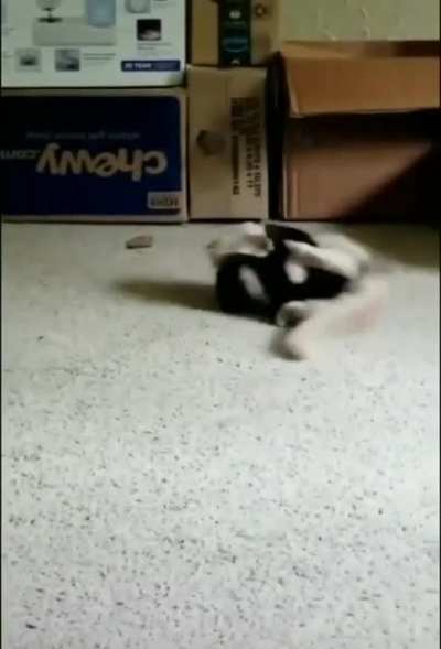 Did anyone see that?