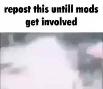 Let's see how long it takes 