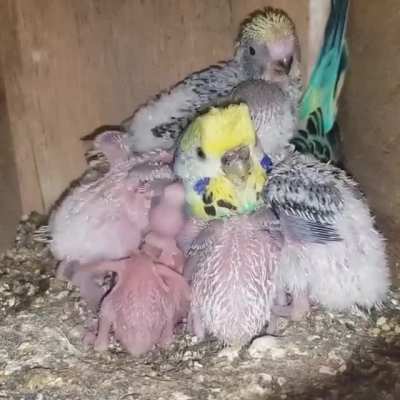 Proud mama.