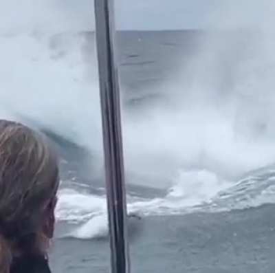 A little too close for comfort, IMO.