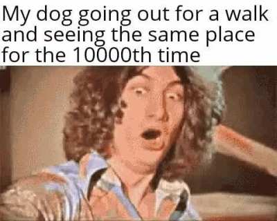 He do be good boi doe