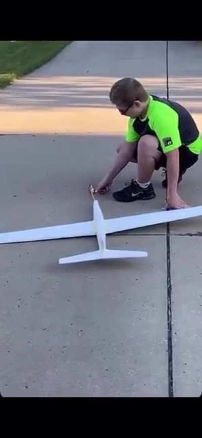 Not the tree