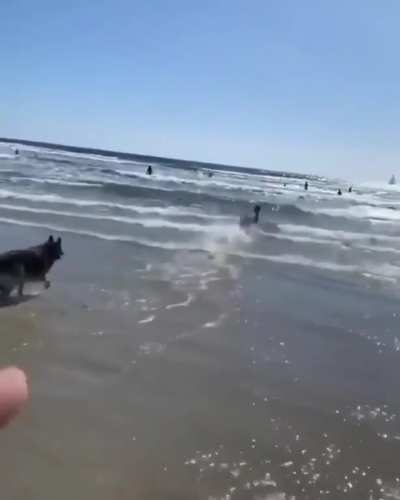 I am speeeeed!