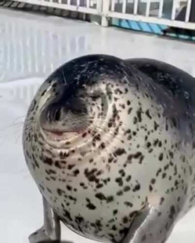 No neck seal