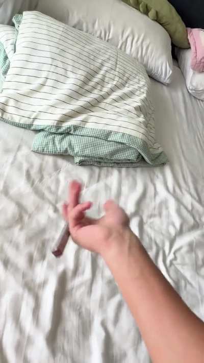 Opus opus