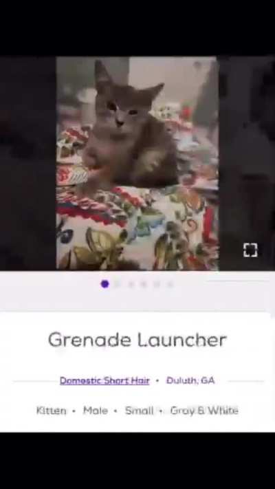 Wunky names